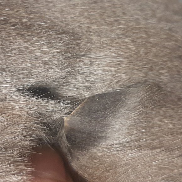 Vintage coat rabbit fur mixed with silver fox fur - Picture 10 of 10